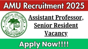 AMU Assistant Professor, Senior Resident Recruitment 2025 - Apply Online