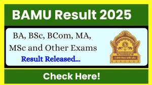 BAMU Result 2025 Out at bamu.ac.in Direct Link to Download UG and PG Semester Result