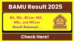 BAMU Result 2025 Released at bamu.ac.in BAMU Result 2025 Released at bamu.ac.in