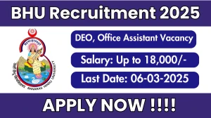 BHU Data Entry Operator, Office Assistant Recruitment 2025 - Apply Offline