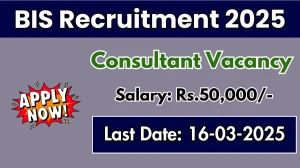 BIS Consultant Recruitment 2025 - Apply Online for 1 Posts