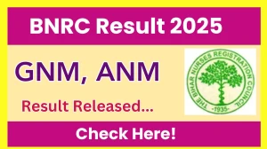 BNRC Result 2025 Out For GNM, ANM at bnrc.bihar.gov.in Direct Link to Download 1st and 2nd Year Marksheet BNRC Result 2025 Out For GNM, ANM at bnrc.bihar.gov.in Direct Link to Download 1st and 2nd Year Marksheet