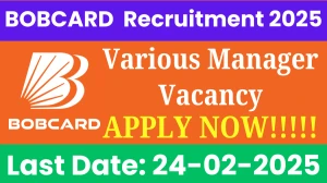 BOBCARD Manager, Assistant Manager & Other Recruitment 2025 - Apply Online