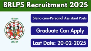 BRLPS Steno-cum-Personal Assistant Recruitment 2025 - Apply Offline for 3 Posts