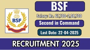 BSF Second in Command Recruitment 2025 - Apply Offline