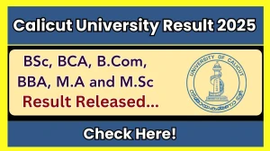 Calicut University Result 2025 Released at uoc.ac.in Direct Link to Download 1st and 5th Semester Result Calicut University Result 2025 Released at uoc.ac.in Direct Link to Download 1st and 5th Semester Result