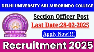 Delhi University Sri Aurobindo College Section Officer Recruitment 2025 - Apply Offline