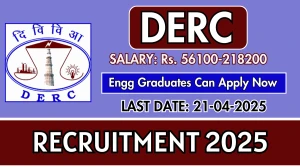 DERC Assistant Director and Executive Director Recruitment 2025 - Apply Online