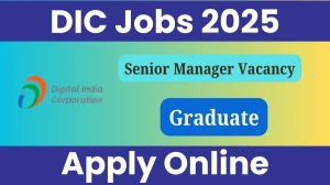 DIC Senior Manager Recruitment 2025 - Apply Online for 1 Posts