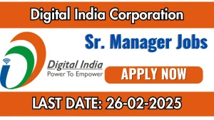 Digital India Corporation Senior Manager Recruitment 2025 - Apply Online