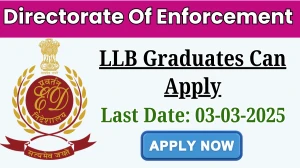 Directorate Of Enforcement Special Public Prosecutor Recruitment 2025 - Apply Offline