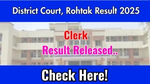 District Court, Rohtak Clerk Result 2025 OUT, Download Clerk Result at rohtak.dcourts.gov.in