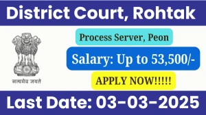 District Court, Rohtak Process Server, Peon Recruitment 2025 - Apply Offline for 19 Posts
