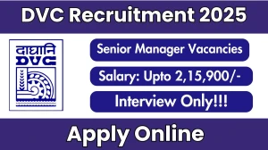 DVC Senior Manager Recruitment 2025 - Apply Online for 4 Posts