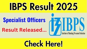 IBPS Result 2025 Announced. Direct Link to Check IBPS Specialist Officers Result 2025 ibps.in