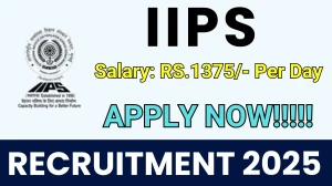 IIPS Mappers, Listers Recruitment 2025 - Apply Offline for 8 Posts