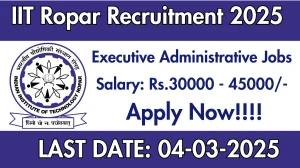 IIT Ropar Assistant Manager, Web Developer & Other Recruitment 2025 - Apply Online