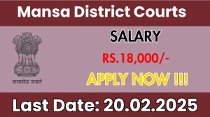 Mansa District Courts Process Server Recruitment 2025 - Apply Offline for 1 Posts