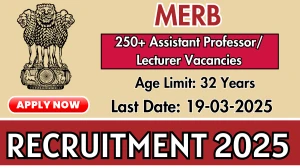 MERB Assistant Professor/ Lecturer Recruitment 2025 - Apply Online for 284 Posts