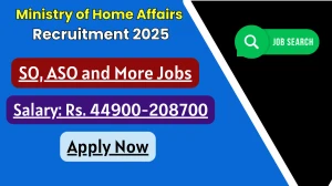 Ministry of Home Affairs SO, ASO and More Vacancies Recruitment 2025 - Apply Offline for 48 Posts