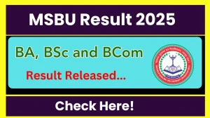 MSBU Result 2025 Released at msbuexam.in