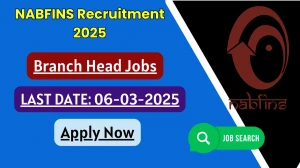 NABFINS Branch Head Recruitment 2025 - Apply Online