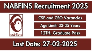 NABFINS CSE and CSO Recruitment 2025 - Apply Online