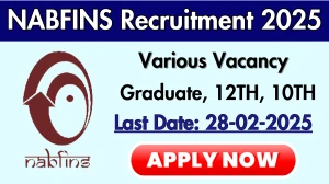 NABFINS Customer Service Officer, Cluster Head & Other Recruitment 2025 - Apply Online