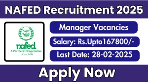 NAFED Deputy Manager, Assistant Manager Recruitment 2025 - Apply Online for 10 Posts