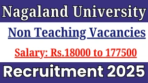 Nagaland University Non teaching Recruitment 2025 - Apply Online for 42 Posts