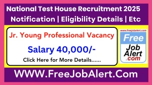 National Test House Jr. Young Professional Recruitment 2025 - Apply Offline for 09 Posts