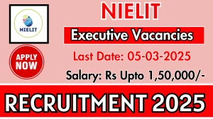 NIELIT Executive, Senior Executive Recruitment 2025 - Apply Online