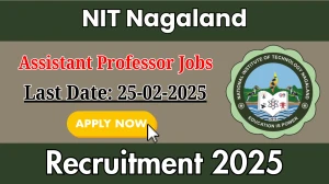 NIT Nagaland Assistant Professor Grade II Recruitment 2025 - Apply Offline