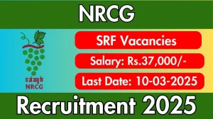 NRCG Senior Research Follow Recruitment 2025 - Apply Offline for 1 Posts