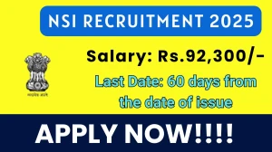 NSI Security Inspector Recruitment 2025 - Apply Offline for 1 Posts