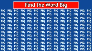 Optical Illusion IQ Test: Find the Word Big among Pig within 9 Seconds