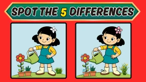Optical Illusion Spot the Difference Picture Puzzle Game: Only People with Extra Sharp eyes Can Spot the 5 Differences in this Girl Image in 15 Secs