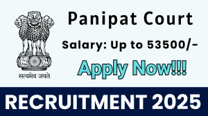 Panipat Court Peon, Process Server Recruitment 2025 - Apply Offline for 20 Posts