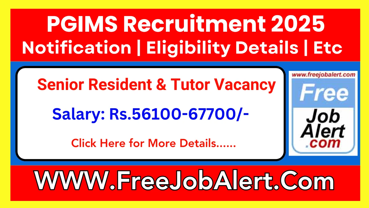 PGIMS Senior Resident & Tutor Recruitment 2025 - Apply Offline for 251 Posts