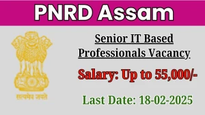 PNRD Assam Senior IT Based Professionals Recruitment 2025 - Apply Online