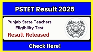PSTET Result 2025 Released at pstet.pseb.ac.in - How to check PSTET Results Here