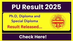 PU Result 2025 Released at puchd.ac.in Direct Link to Download 1st and 3rd Semester Result PU Result 2025 Released at puchd.ac.in Direct Link to Download 1st and 3rd Semester Result