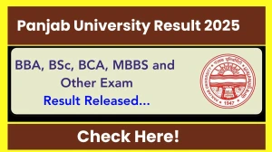 PU Result 2025 Released at puchd.ac.in Direct Link to Download Panjab University UG and PG Marksheet