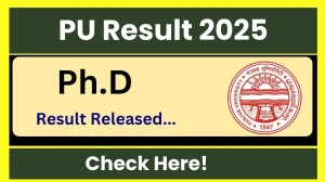 PU Result 2025 Released at puchd.ac.in Direct Link to Download UG and PG Courses Result