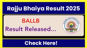 Rajju Bhaiya Result 2025 Released at prsuniv.ac.in Direct Link to Download 1st, 3rd, 4th, 5th and 7th Semester Result