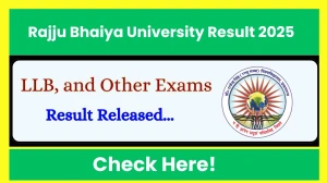 Rajju Bhaiya University Result 2025 Released at prsuniv.ac.in Direct Link to Download UG and PG Marksheet