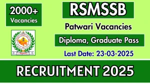 RSMSSB Patwari Recruitment 2025 - Apply Online for 2,020 Posts