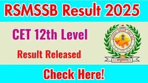 RSMSSB Result 2025 Announced. Direct Link to Check RSMSSB CET 12th Level Result 2025 rsmssb.rajasthan.gov.in