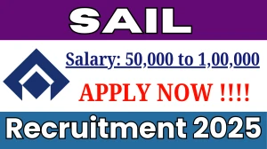 SAIL Advisors/Consultant Recruitment 2025 - Apply Offline