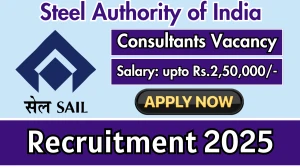 SAIL Consultants Recruitment 2025 - Apply Offline for 20 Posts